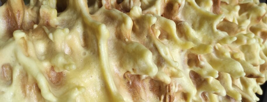 Sękacz – król karnawału