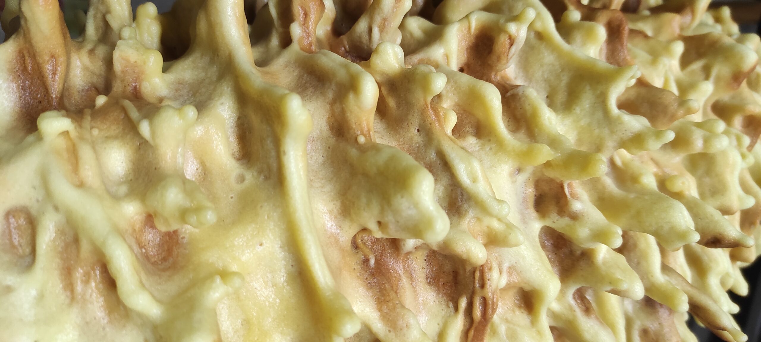 Sękacz – król karnawału