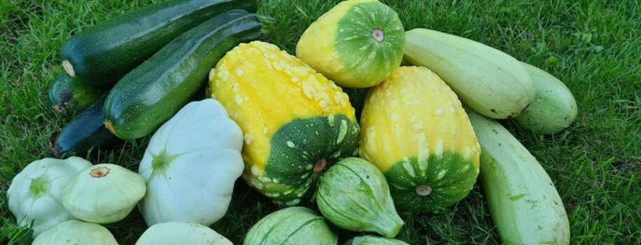 Cukinie, patisony i dynie ozdobne